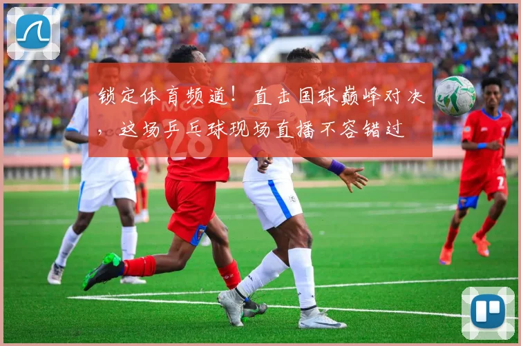 锁定体育频道！直击国球巅峰对决，这场乒乓球现场直播不容错过