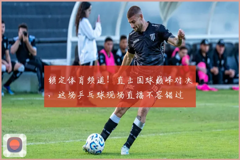 锁定体育频道！直击国球巅峰对决，这场乒乓球现场直播不容错过
