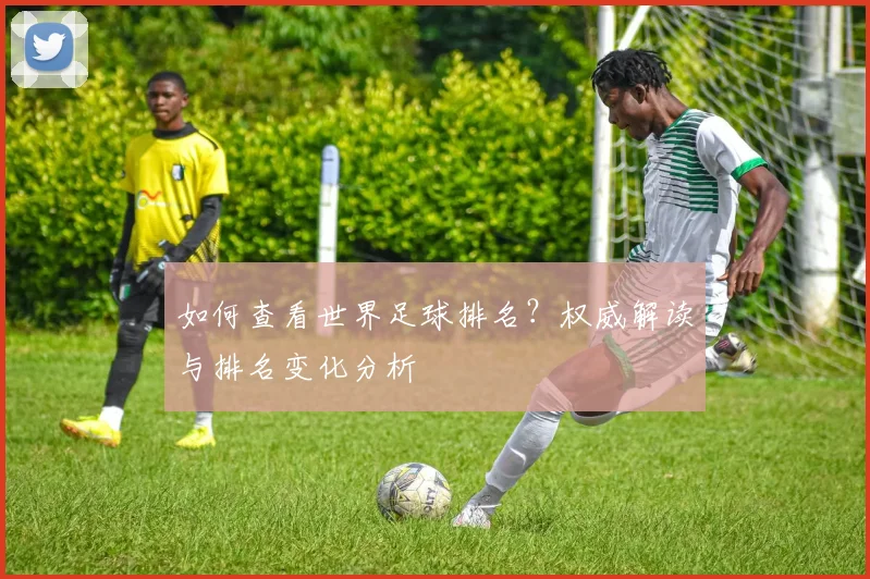 如何查看世界足球排名?权威解读与排名变化分析